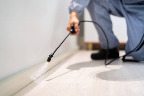 Professional exterminator conducting IPM assessment in Bay City